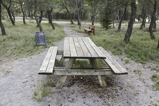 Wooden table in the field, detail of a dining table
