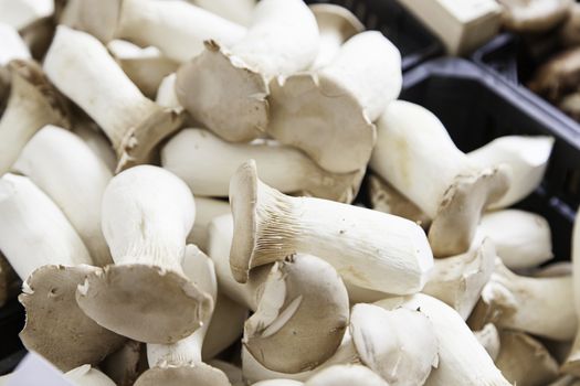 Boletus mushrooms in a market, field mushrooms to eat