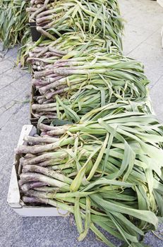 Fresh garlic in a market, detail of a vegetable