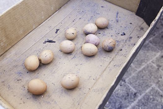 Eggs in a charcoal grilling, detail of how to cook some eggs, feed and food