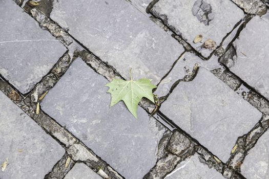 Ancient cobblestone floor, detail of a land in the city