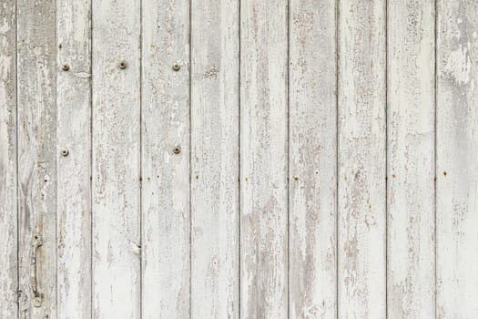 Old gray wood detail of a wooden background texture