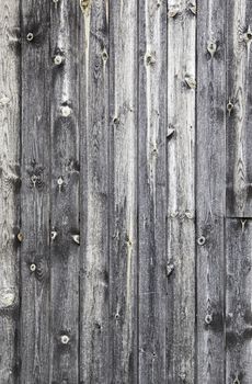 Old gray wood detail of a wooden background texture