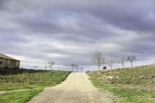 Dirt road mountain, detail of a pathway, and landscape naturaleja