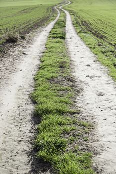 Dirt road mountain, detail of a pathway, and landscape naturaleja