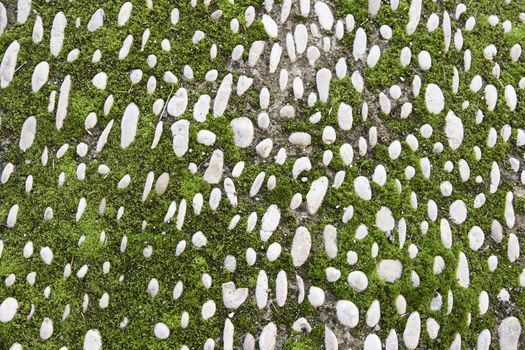 Old stone floor, detail of ground moss