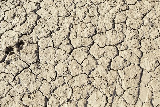 Dry soil by drought, natural disasters, climate change