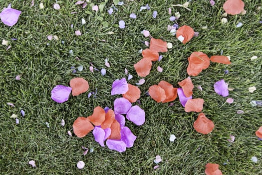 Blue and red petals, detail of celebration