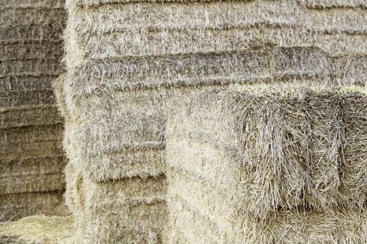 Straw bales, detail of food for animals, nature