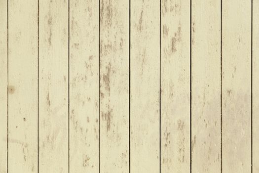 Old wooden door, detail of a wooden background texture