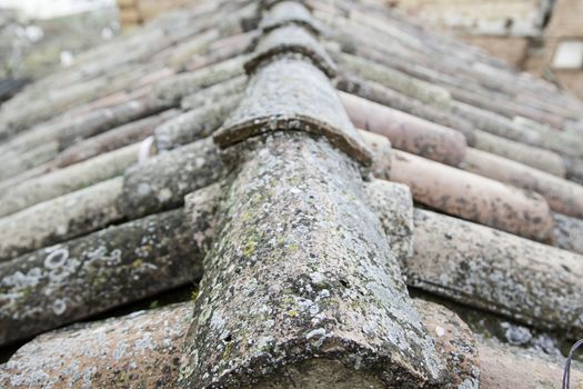 Old Roof Tiles, detail of some old roof tiles, clay