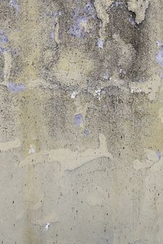 Wall moisture and destruction, detail of abandonment and old, cracks