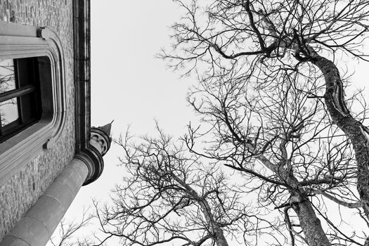 Gothic house with creepy tree, detail of an old house