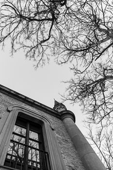 Gothic house with creepy tree, detail of an old house