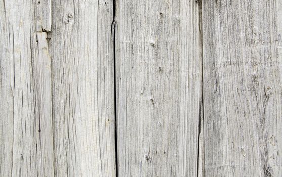 Old and spoiled white wood background, textured background detail
