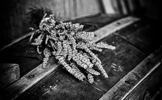 Lavender dry to give good aroma, aromatic plant detail