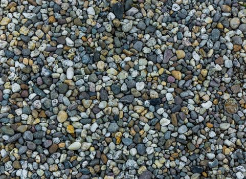 very small and tiny pebble stone rocks in macro close up in diverse colors garden ground decoration background