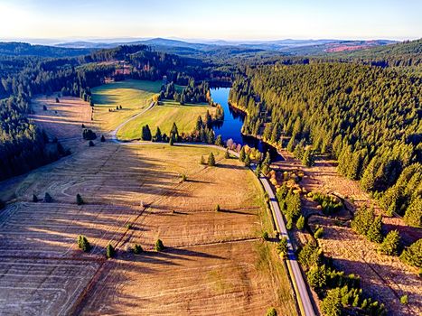 The aerial spruce forest in falls morning