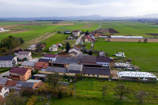 European countryside from the air, village in pannonian plain, Dravsko polje, Slovenia, rural landscape and traditional small villages with houses along the road, village of Podova, Slovenia