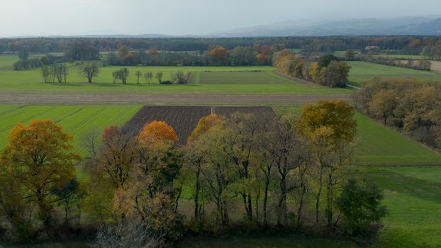 Aerial view of east Slovenia countryside with fields, forest and hedges, hedgerows dividing fields and meadows, Pohorje mountain in far background, traditional small farms agriculture