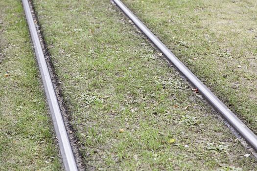 Tram tracks in the grass, detail some rails for a train in the city, public transport