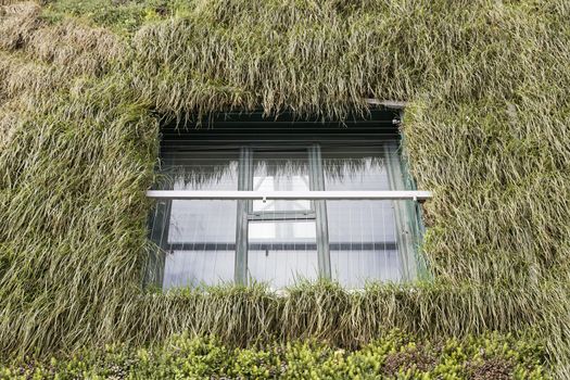 Facade with organic plants, detail of a wall covered with plants and flowers, nature and architecture