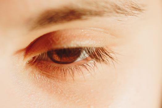 Human eye detail, female macro eye close up. the play of light and shadow