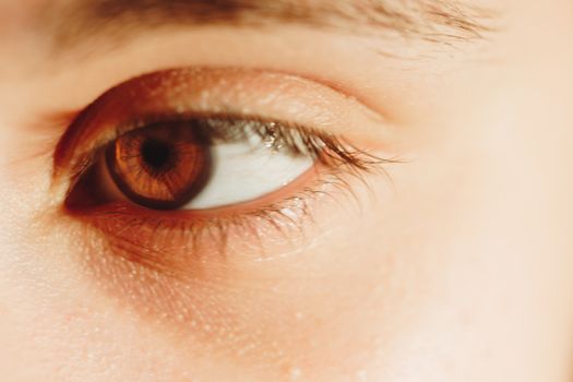 Human eye detail, female macro eye close up. the play of light and shadow