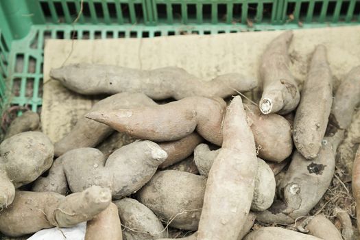 Fresh ginger in a market, detail of a fresh fruit, health and tradition
