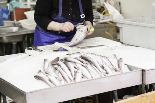 Fresh fish in a market, detail of an old fishmonger, healthy food, sea fish