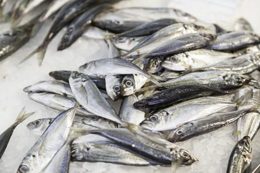 Fresh fish in a market, detail of an old fishmonger, healthy food, sea fish