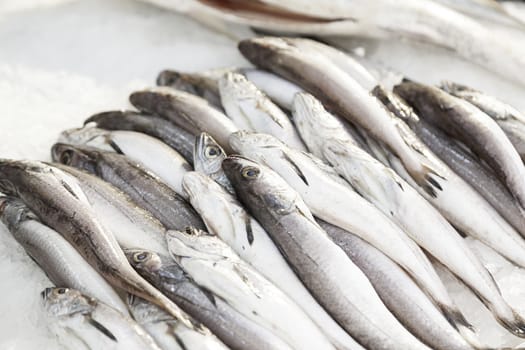 Fresh fish in a market, detail of an old fishmonger, healthy food, sea fish