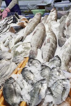 Fresh fish in a market, detail of an old fishmonger, healthy food, sea fish