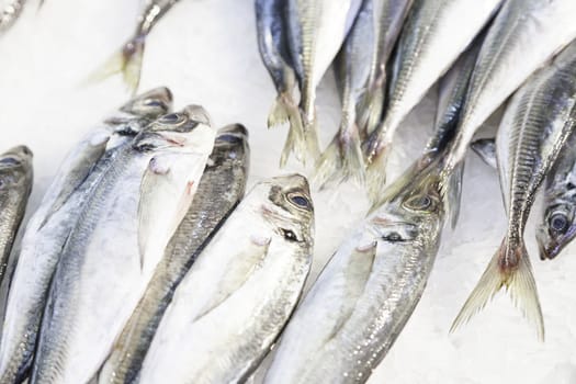 Fresh fish in a market, detail of an old fishmonger, healthy food, sea fish