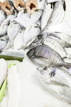 Fresh fish in a market, detail of an old fishmonger, healthy food, sea fish