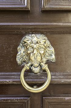Caller shaped golden lion, detail of an ancient decorated door, ancient art