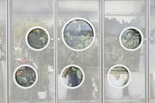 Wall of a greenhouse plant, detail of a place to grow plants, nature