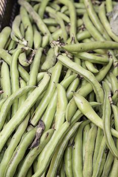 Green peas raw vegetable healthy lifestyle, diet, food rich in vitamins