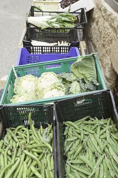 Vegetables in a tent outdoors, detail of a plant in a traditional market, food for healthy life