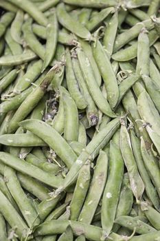 Green peas raw vegetable healthy lifestyle, diet, food rich in vitamins