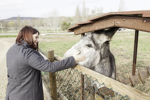 I petting a donkey on a farm, giving details of a person to an animal affection