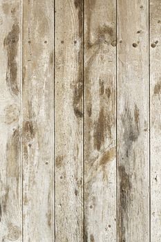 Abandoned wooden old door, detail of a door in the city, neglect and ruin, antique