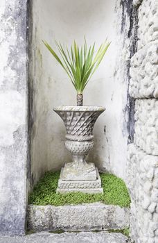 Inside the Pena Palace in Sintra, detail of decorative plants, tourist place in Portugal