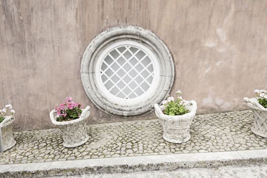 Old potted plants, detail put some pots plants, nature
