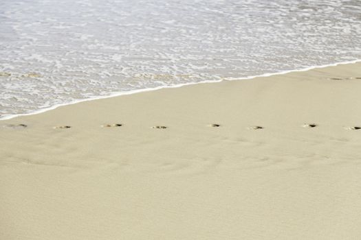 Footprint in the sand on the beach, detail signal marked in the sand, sea sand