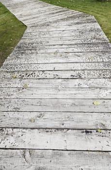 Eastern Wood Road, detail of a road in a zen garden, oriental decoration