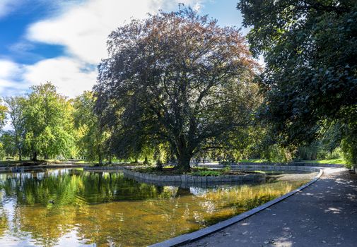 A view of a small shallow pond in the centre of Duthie Park, Aberdeen, Scotland