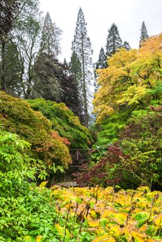 Colourful autumn landscape view at Benmore Botanic Garden, Loch Lomond and the Trossachs National Park, Scotland