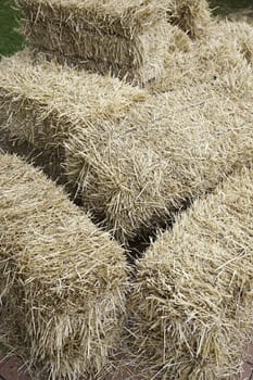 Straw bale, detail piles of grain grown