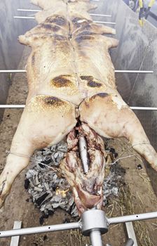 Roasted pork on the grill, cooking detail as a pig and its meat, fat rich food, healthy food